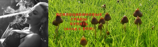 ПСИЛОЦИБИНОВЫЕ ГРИБЫ Белоозёрский