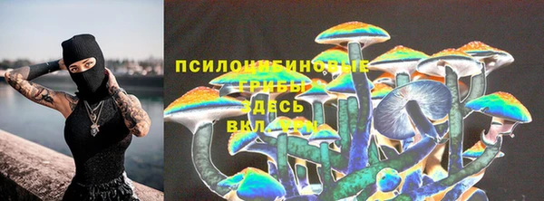 ПСИЛОЦИБИНОВЫЕ ГРИБЫ Белоозёрский