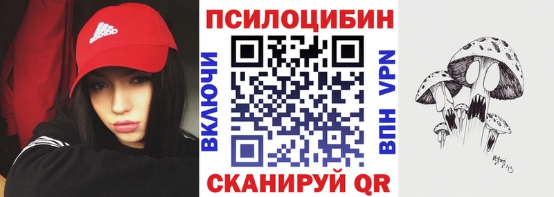 Псилоцибиновые грибы Psilocybe  Инза 